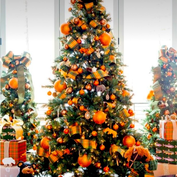 ALL THINGS ORANGE - Picture 1 of 2